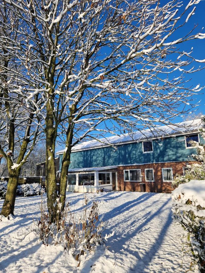 Sort Sol Grellsbuelldeich 7 * Aventoft