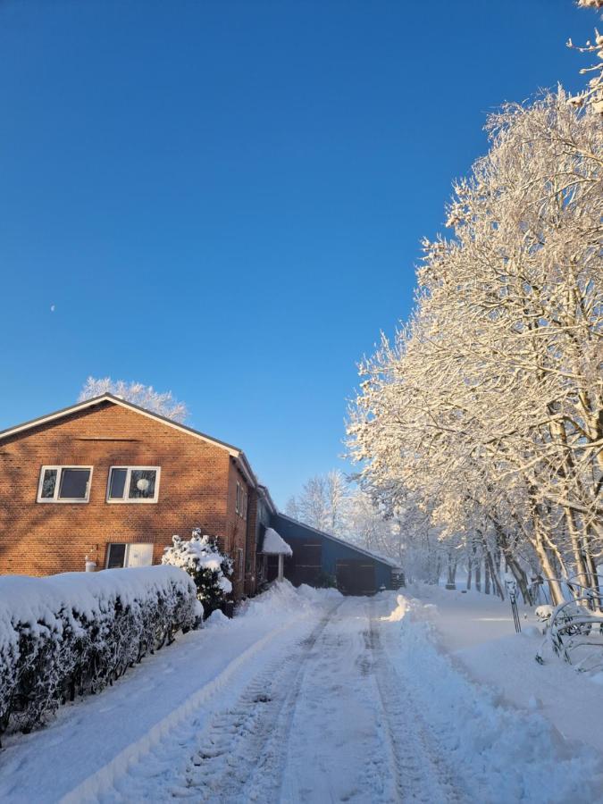 Sort Sol Grellsbuelldeich 7