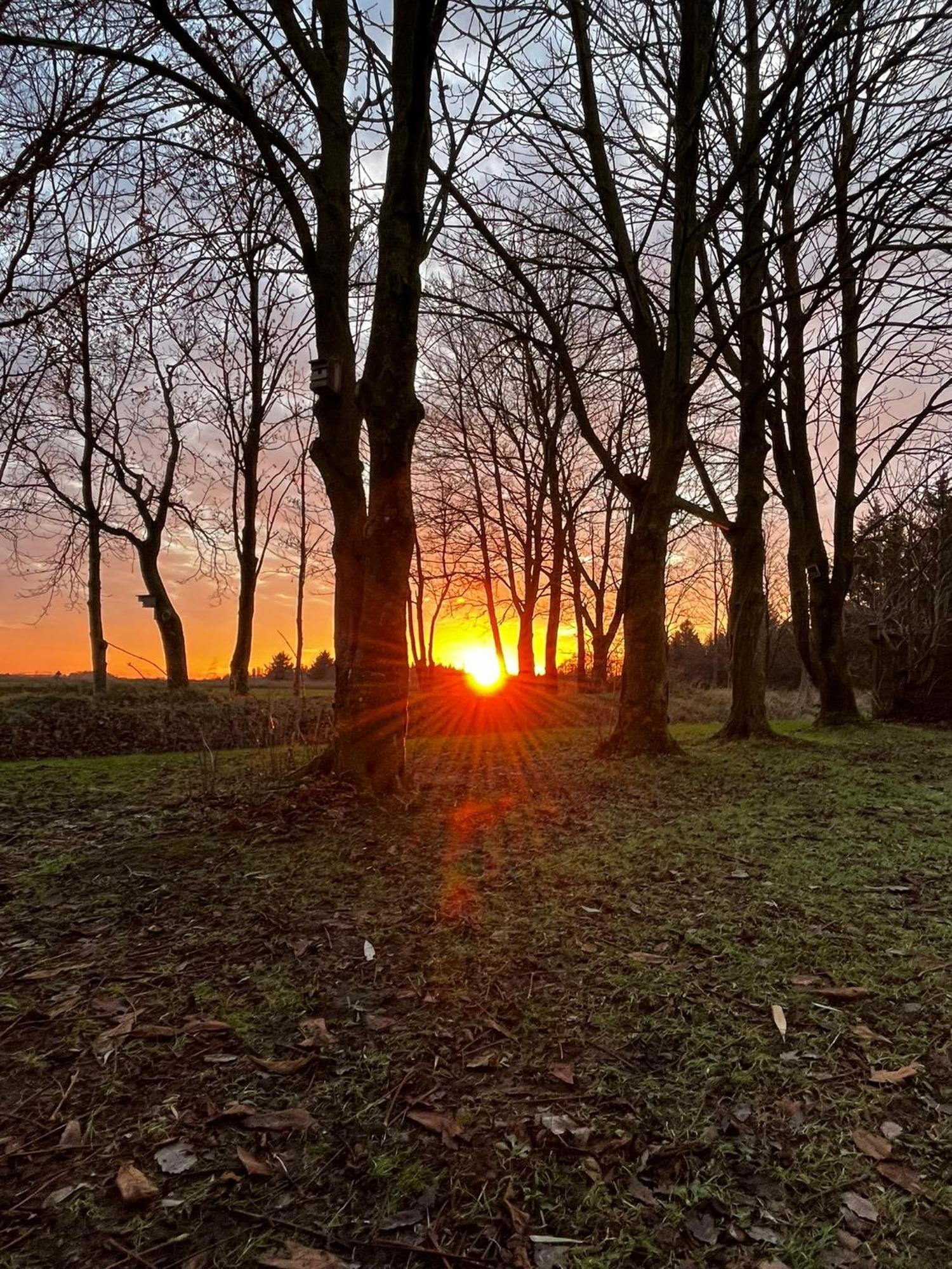 Sort Sol Grellsbuelldeich 7 * Aventoft