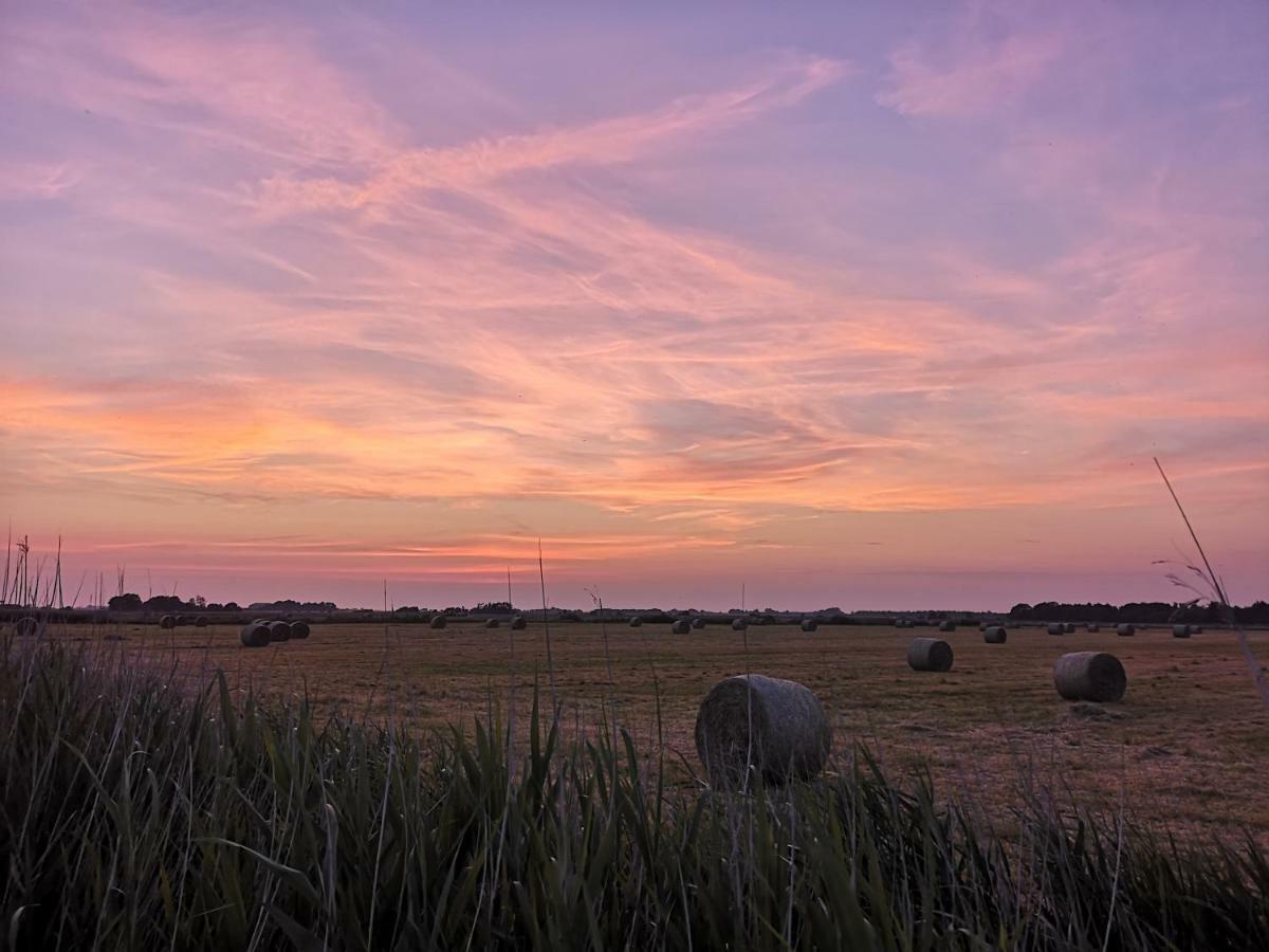 Sort Sol Grellsbuelldeich 7 Aventoft